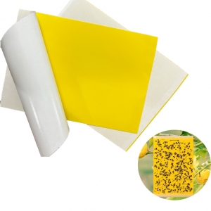 Tấm bẫy dính côn trùng 2 mặt ( Vàng ) - Hiệu quả với nhiều loài gây hại cho vườn lan, rau hoa màu và cây ăn trái