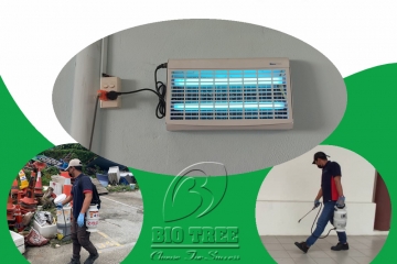 Cách kinh doanh dịch vụ côn trùng hiệu quả cao