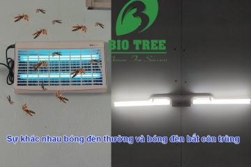 Sự khác nhau bóng đèn thường và bóng đèn bắt côn trùng