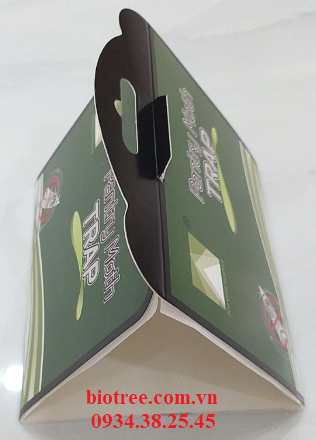 BẪY NGÀI BƯỚM